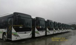 营山公交车最新爆料,最新爆料揭示线路调整与优化